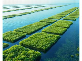 静岡県の海藻養殖場。整然と並んだ養殖棚と、水質を測定する機器